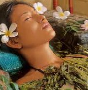 O Poder do Boldo: Limpeza, Cura e Sabedoria Ancestral